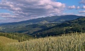 Popradzki Park Krajobrazowy Popradzki Park Krajobrazowy
