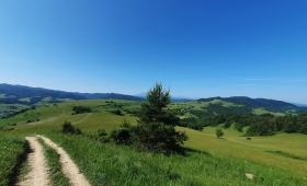Szlak z Leśnicy do Wielkiego Lipnika: śladami Husytów i pienińskich panoram