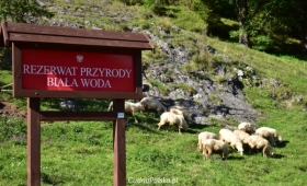 Biała Woda – śladami wysiedlonej wsi, Łemków i wołoskich pasterzy