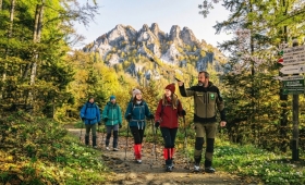 Pieniny wiosną – szlaki, atrakcje i wycieczki