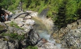 Wąwóz Homole - woj. małopolskie - Pieniny Wąwóz Homole - woj. małopolskie - Pieniny